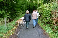 Luna - die wohl �lteste Dogge Deutschlands - 2003 beim Spaziergang