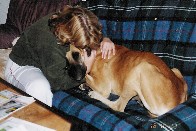 Luna - die wohl �lteste Dogge Deutschlands - 2003 dererste Tag bei uns